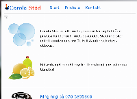Carolas Städ