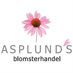 Asplunds Blomsterhandel
