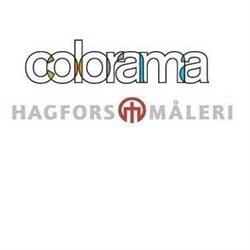 Hagfors Måleri RT AB