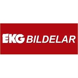 Ekg Bildelar AB