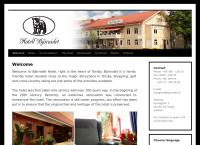 Hotell Björnidet Nya Torsby Hotell HB