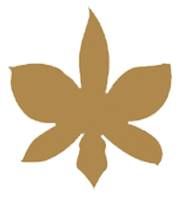 Thai Corner AB
