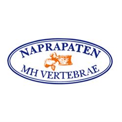 Naprapat Magnus Holm