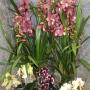 Blommor till företaget