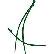 Areal