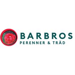 Barbros Perenner & Träd - Handelsträdgård Piteå