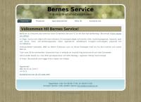Berne's Service