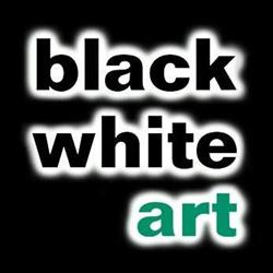 Black & White Art, Produkter i Halmstad Ab