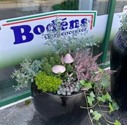 Bodéns Handelsträdgård & Gardencenter