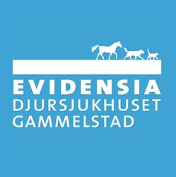 Djursjukhuset I Gammelstad AB