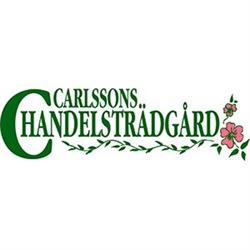 Carlssons Handelsträdgård