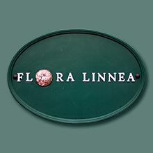 Flora Linnea AB