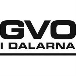 Gvo I Dalarna, AB