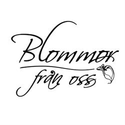 Blommor från oss Halmstad