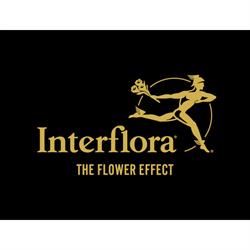 Interflora - Gullvivan