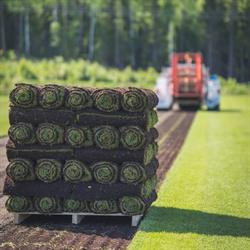 Mälarturf Gräsmatteodling