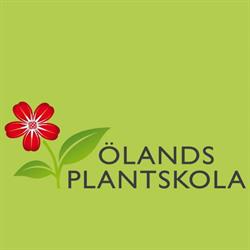 Ölands Plantskola AB
