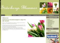 Söderbergs Handelsträdgård