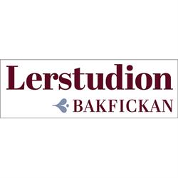Lerstudion Bakfickan - Dalarna