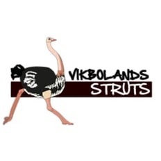 Vikbolandsstruts