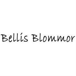 Bellis Blommor