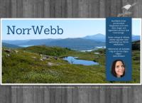 Norrwebb