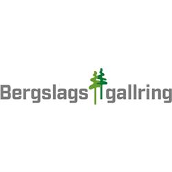 Bergslagsgallrings AB