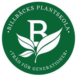 BILLBÄCKS PLANTSKOLA AB