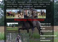 Broaskogs Islandshästar