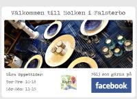 Webbsida från Holken i Falsterbo AB