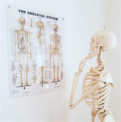 Ängelholms Naprapatklinik