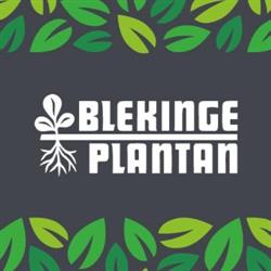 Blekingeplantan