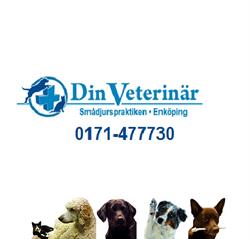 DIN VETERINÄR SMÅDJURSPRAKTIKEN I ENKÖPING AB