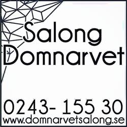 Domnarvets Skor AB
