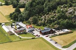 Edwardssons Handelsträdgård AB