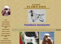 Flashdance Hundcenter