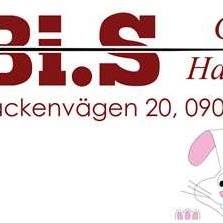 Bi.s Garn & Handarbete