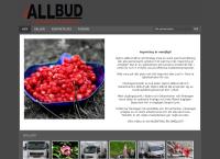Nybro Allbud AB