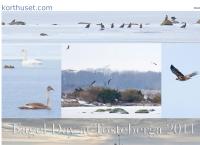 Fotograf Torkel Edenborg AB