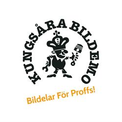 Kungsåra Bildemontering AB
