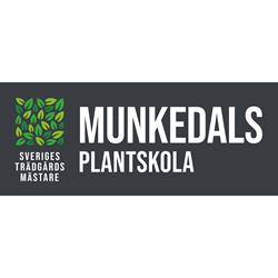 Munkedals Plantskola - Försäljning, Beskärning, Plantering