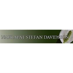 Naprapat Stefan Davidsson AB