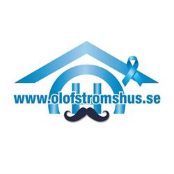 Olofströmshus AB