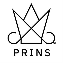 Prins Frisersalong