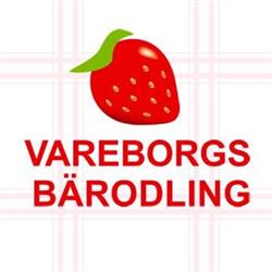 Vareborgs Bärodling AB