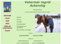 Veterinär Ingrid Ackerstig