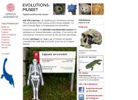Evolutionsmuseet Zoologi