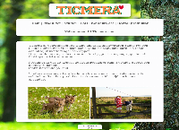 Ticmera