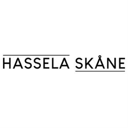 Hassela Skåne AB (Mentorskap)