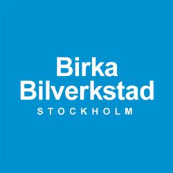 Birka Bilelektronik Service Bil Verkstad